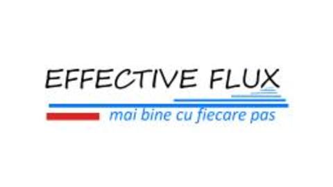 EFFECTIVE FLUX SRL